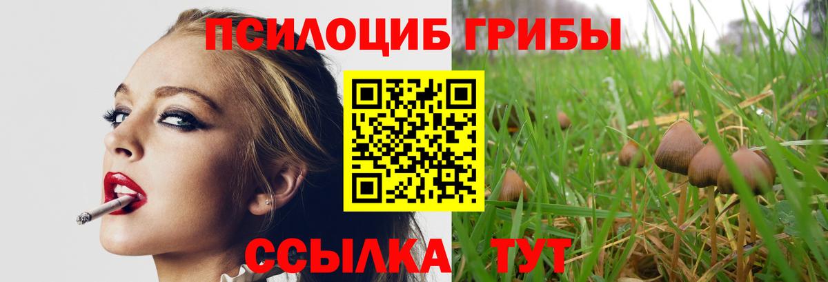 купить  цена  Галлюциногенные грибы Psilocybine cubensis  Псилоцибиновые грибы Psilocybine cubensis  Вход с VPN  Южно-Сахалинск 
